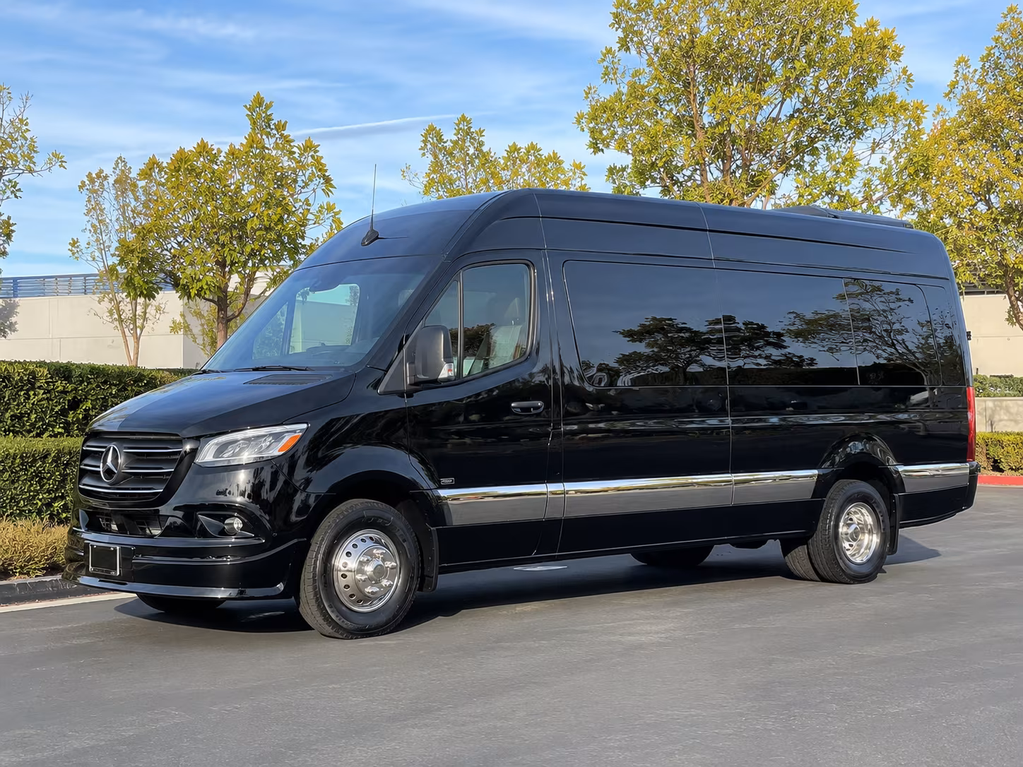 ann arbor 10 passenger sprinter van