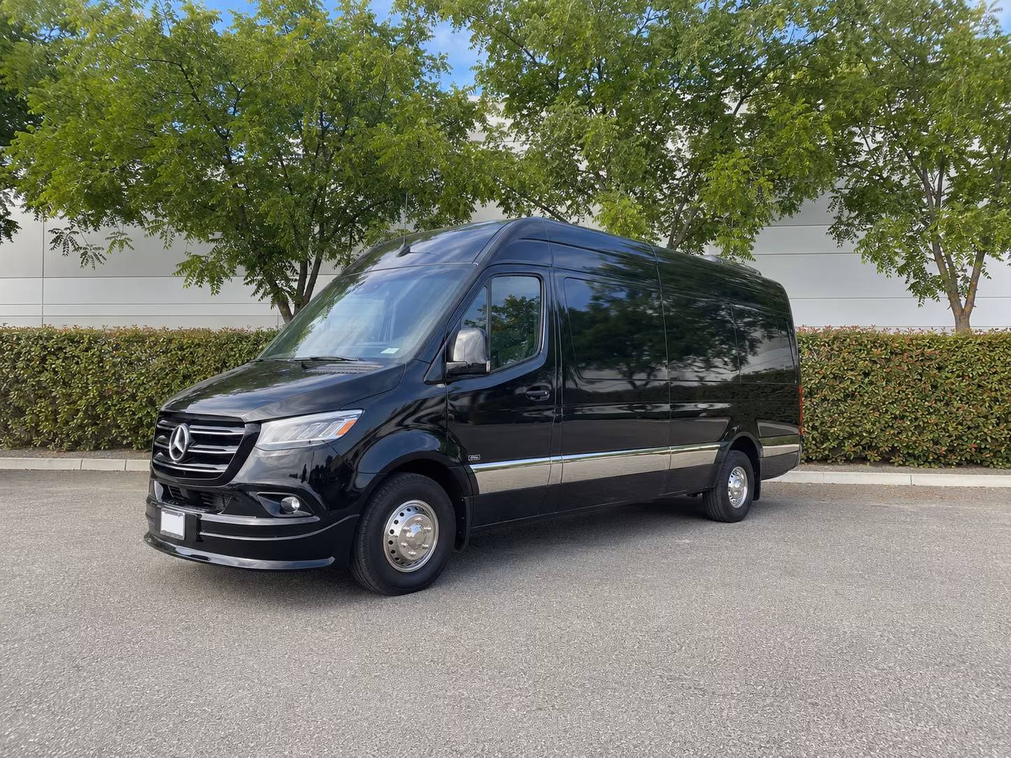 ann arbor 12 passenger sprinter van