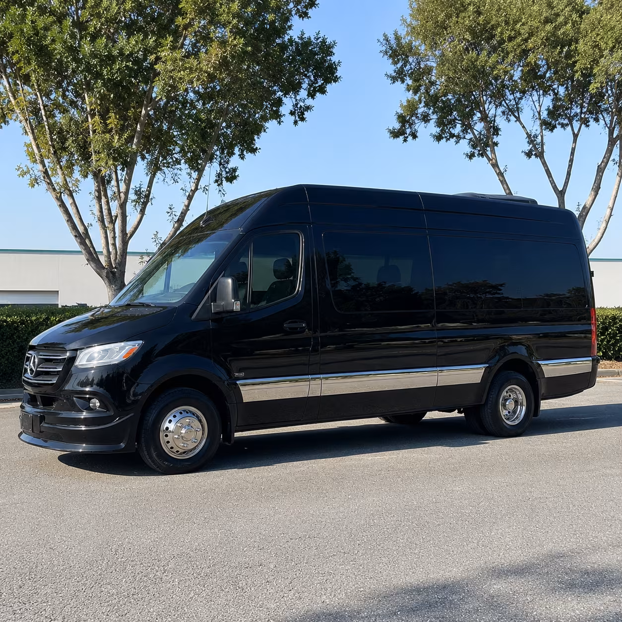 ann arbor wedding sprinter van rental